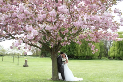 Wedding 1st May 2015 - Billesley Mannor